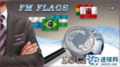 FM2014 国家地区的地图标识和国旗logo包