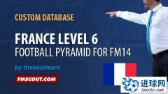 FM2014 法国6级联赛及杯赛补丁