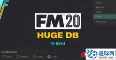 FM2020 巨大数据库