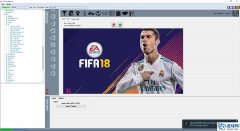 FIFA18 文件管理器工具CG File Explorer
