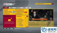 FIFA20 生涯模式德甲风格主题包v1.0